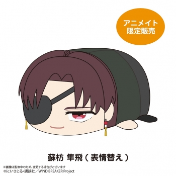 グッズ-ぬいぐるみ】WIND BREAKER ぽてコロマスコットMsize H:蘇枋 隼 