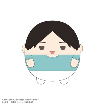グッズ-ぬいぐるみ】ハイキュー!! ふわコロりんMsize9 D：国見 英 