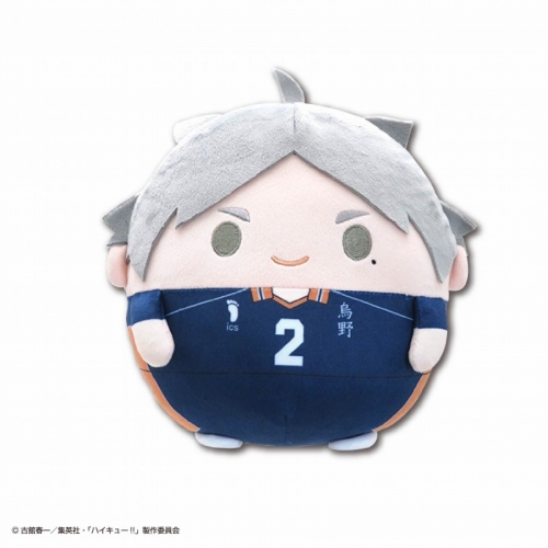 グッズ-ぬいぐるみ】ハイキュー!! ふわコロりんMsize3 B：菅原 孝支 