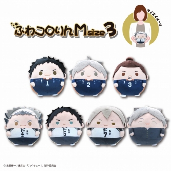 グッズ-ぬいぐるみ】ハイキュー!! ふわコロりんMsize3 B：菅原 孝支 