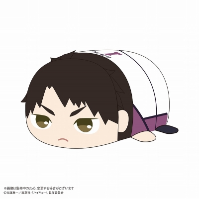 【グッズ-ぬいぐるみ】ハイキュー!! ぽてコロマスコットBIG2 C:牛島 若利