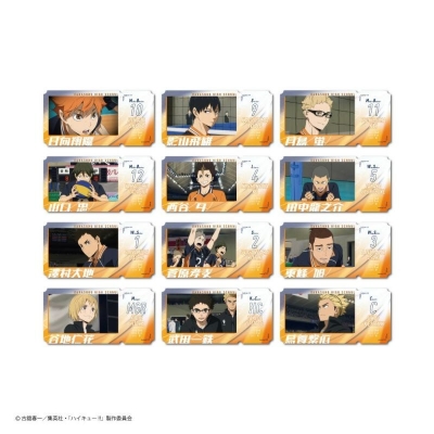 【グッズ-カード】ハイキュー!! Excellent sceneチケット風カード ランダム販売 グループ烏野
