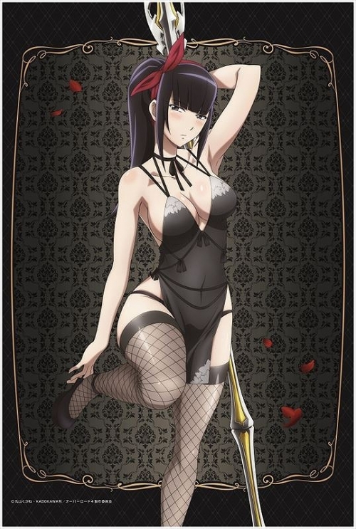 グッズ タペストリー Tvアニメ オーバーロード 描き下ろしb2タペストリー 4 ナーベラル アニメイト