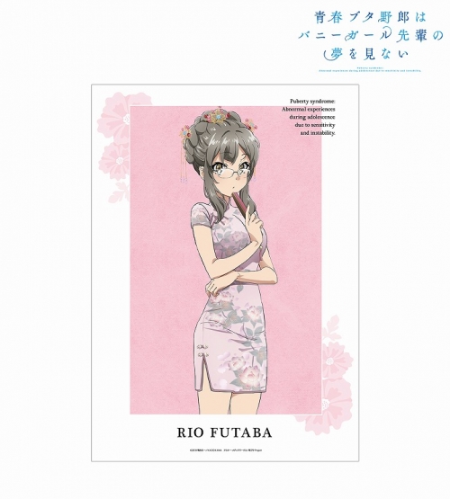 グッズ ポスター 青春ブタ野郎はバニーガール先輩の夢を見ない 描き下ろしイラスト 双葉理央 チャイナドレスver A3マット加工ポスター アニメイト先行販売分 アニメイト グッズ ポスター 青春ブタ野郎はバニーガール先輩の夢を見ない 描き下ろしイラスト 双葉理央 チャイナドレスver A3マット加工ポスター アニメイト先行販売分 アニメイト