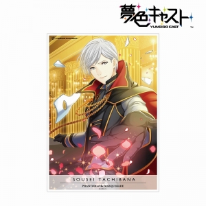 Blu Ray 夢色キャスト Dream Show 17 Live 初回限定版 アニメイト Blu Ray 夢色キャスト Dream Show 17 Live 初回限定版 アニメイト