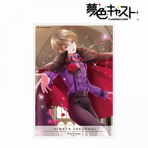 Dvd 夢色キャスト Dream Show 17 Live アニメイト Dvd 夢色キャスト Dream Show 17 Live アニメイト