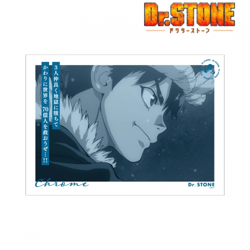 グッズ ポスター Dr Stone クロム A3マット加工ポスター アニメイト