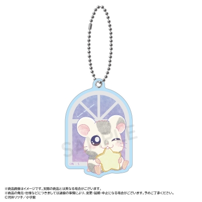 【グッズ-ミラー】『とっとこハム太郎』 ~Twinkle Dreams~スライドミラー C.こうしくん