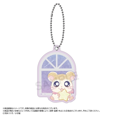 【グッズ-ミラー】『とっとこハム太郎』 ~Twinkle Dreams~スライドミラー F.マフラーちゃん