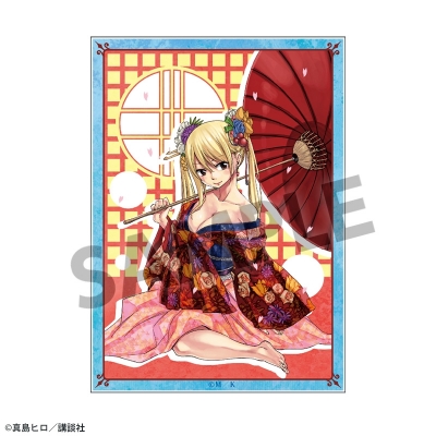 【グッズ-カード】FAIRY TAIL トレーディングアクリルカード vol.2