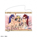 【グッズ-タペストリー】FAIRY TAIL B2タペストリー ルーシィ&エルザ&ウェンディの画像