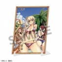 【グッズ-置きもの】FAIRY TAIL ビジュアルアクリルプレート ナツ&ルーシィ&ハッピー&エルザの画像