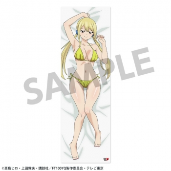 グッズ-ピローケース】FAIRY TAIL 100年クエスト 描き下ろし抱き枕 