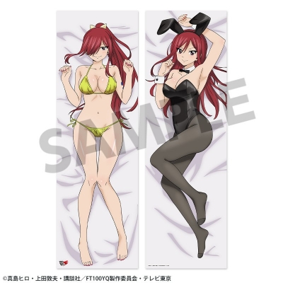 【グッズ-ピローケース】FAIRY TAIL 100年クエスト 描き下ろし抱き枕カバー エルザ・スカーレット
