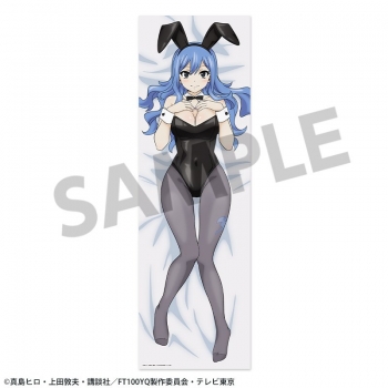 グッズ-ピローケース】FAIRY TAIL 100年クエスト 描き下ろし抱き枕 