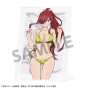 【グッズ-置きもの】FAIRY TAIL 100年クエスト 描き下ろしビジュアルアクリルプレート エルザ・スカーレット Aの画像