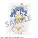 【グッズ-置きもの】FAIRY TAIL 100年クエスト 描き下ろしビジュアルアクリルプレート ジュビア・ロクサー Aの画像