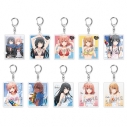 【グッズ-キーホルダー】やはり俺の青春ラブコメはまちがっている。シリーズ トレーディングアクリルキーホルダー vol.2の画像