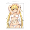 【グッズ-タペストリー】ドリームクラブ 描き下ろしB2タペストリー 魅杏 Bの画像