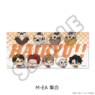 【グッズ-タオル】ハイキュー!! 第11弾 フェイスタオル(mochocho) M-EA(集合)