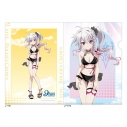 【グッズ-クリアファイル】9-nine- Ruler's Crown 描き下ろしクリアファイル(新海天/悪魔水着)の画像