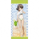 【グッズ-タペストリー】ガールズ&パンツァー 最終章 描き下ろし特大タペストリー(ミカ/水鉄砲 日焼けVer.)の画像