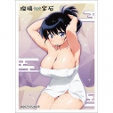 【TCG-スリーブ】瑠璃の宝石 描き下ろしスリーブ(荒砥凪/温泉)の画像