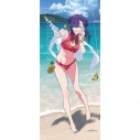 【グッズ-タペストリー】グリッドマン ユニバース 描き下ろし特大タペストリー(ひめ/水着)の画像
