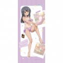 【グッズ-タペストリー】劇場版「Fate/kaleid liner プリズマ☆イリヤ Licht 名前の無い少女」 描き下ろし特大タペストリー(美遊/日焼け)の画像
