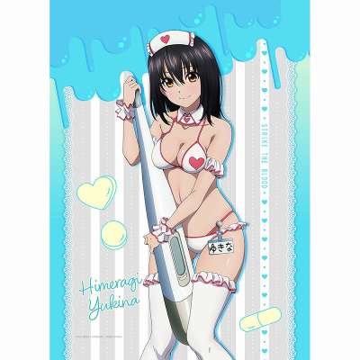 【グッズ-タペストリー】ストライク・ザ・ブラッド 描き下ろしB2タペストリー(雪菜/ナース水着)