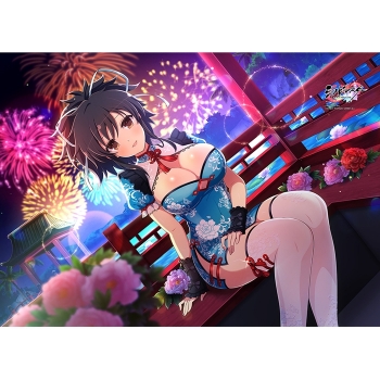 グッズ-タペストリー】シノビマスター 閃乱カグラ NEW LINK B2 