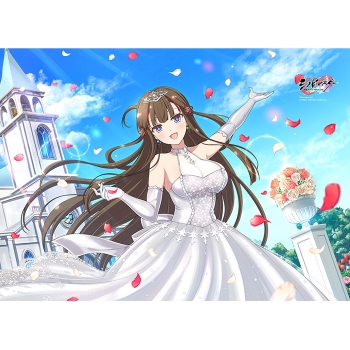 グッズ-タペストリー】シノビマスター 閃乱カグラ NEW LINK B2 