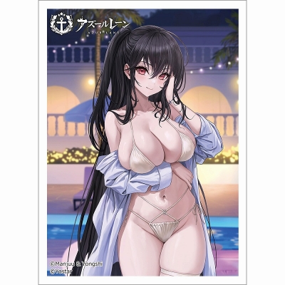 【グッズ-カードケース】アズールレーン 描き下ろしスリーブ(大鳳/ナイトプール)