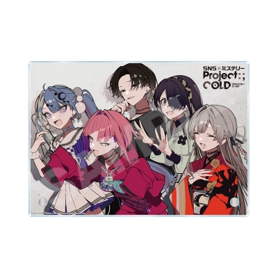 【グッズ-ボード】Project:;COLD case.mirage アクリルボード -技-/01 集合