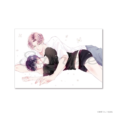 【グッズ-カード】花丸展 鉢野うら ポストカード⑦【心くんは愛とかいらない】【事後通販】