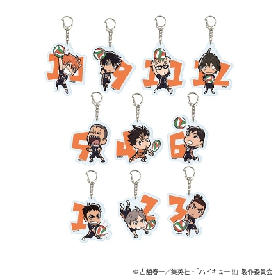 【グッズ-キーホルダー】ハイキュー!! アクリルキーホルダー09/ブラインド(全10種)