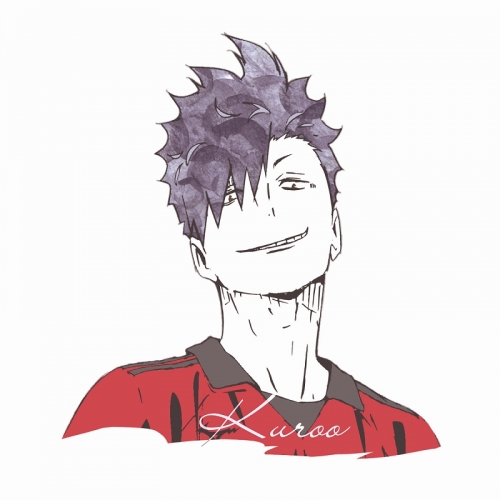 グッズ Tシャツ ハイキュー Ani Arttシャツ 黒尾鉄朗 レディース サイズ S アニメイト