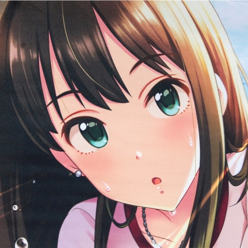 グッズ-タペストリー】アイドルマスター シンデレラガールズ B2 