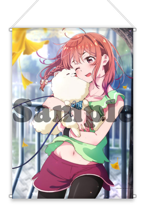 グッズ タペストリー 彼女 お借りします B2タペストリー 桜沢墨 アニメイト グッズ タペストリー 彼女 お借りします B2タペストリー 桜沢墨 アニメイト