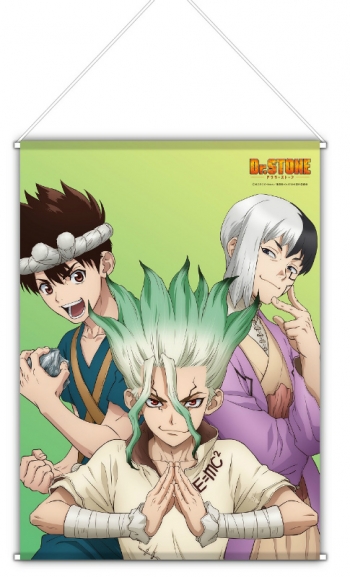 グッズ-タペストリー】Dr.STONE B2タペストリー 石神千空＆あさぎり 