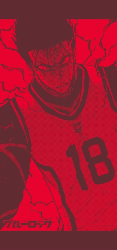 グッズ-タペストリー】ブルーロック ミニタペストリー 馬狼照英  