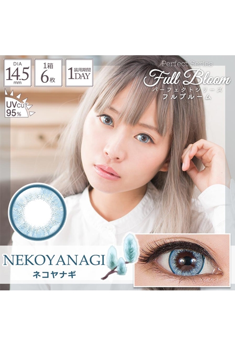 コスプレ コスプレアクセサリー 度あり パーフェクトシリーズワンデー フルブルーム ネコヤナギ コスプレカラーコンタクト 2 5 アニメイト