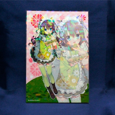 グッズ カバーホルダー ノンキャラオリジナル ポストカード ホログラムスリーブ チップガラス 枚 アニメイト