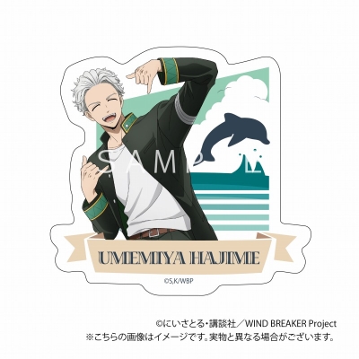 【グッズ-ステッカー】TVアニメ「WIND BREAKER」 ダイカットステッカー(梅宮 一)