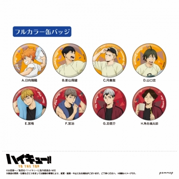 グッズ-バッチ】ハイキュー!! TO THE TOP 缶バッジコレクション 