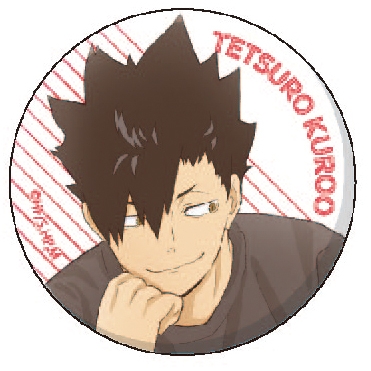 グッズ バッチ ハイキュー 缶バッジコレクション アニメイト