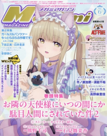メガミマガジン 4冊セット ポスター付き 雑誌】MegamiMAGAZINE-メガミマガジン- 2026年6月号 | アニメイト