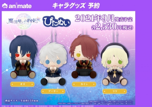 グッズ ぬいぐるみ 魔法使いの約束 ぴたぬい カイン アニメイト