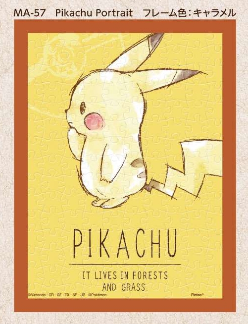 150時間限定 グッズ ジグソーパズル ポケットモンスター Ma 57 Pikachu Portrait 正規品 グッズ ポスター タペストリー類 Www Geeksblood Com