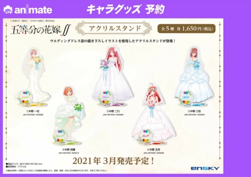 グッズ スタンドポップ 五等分の花嫁 アクリルスタンド 3 中野三玖 アニメイト